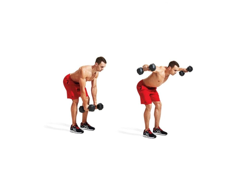 30 Best Dumbbell Exercises for Beginners to Build Muscle Dumbbell Exercises For Beginners