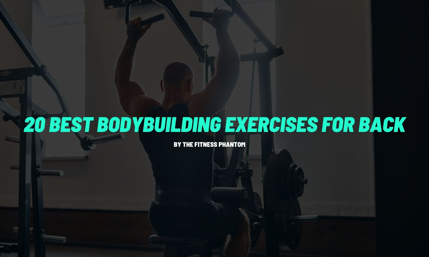 Best Back Exercises for Mass