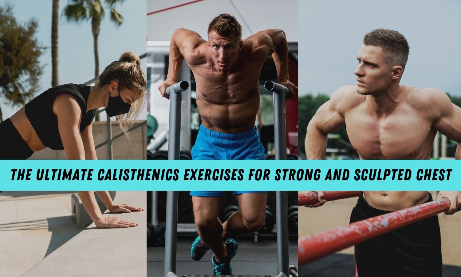 Best Calisthenics Chest Workout and Exercises