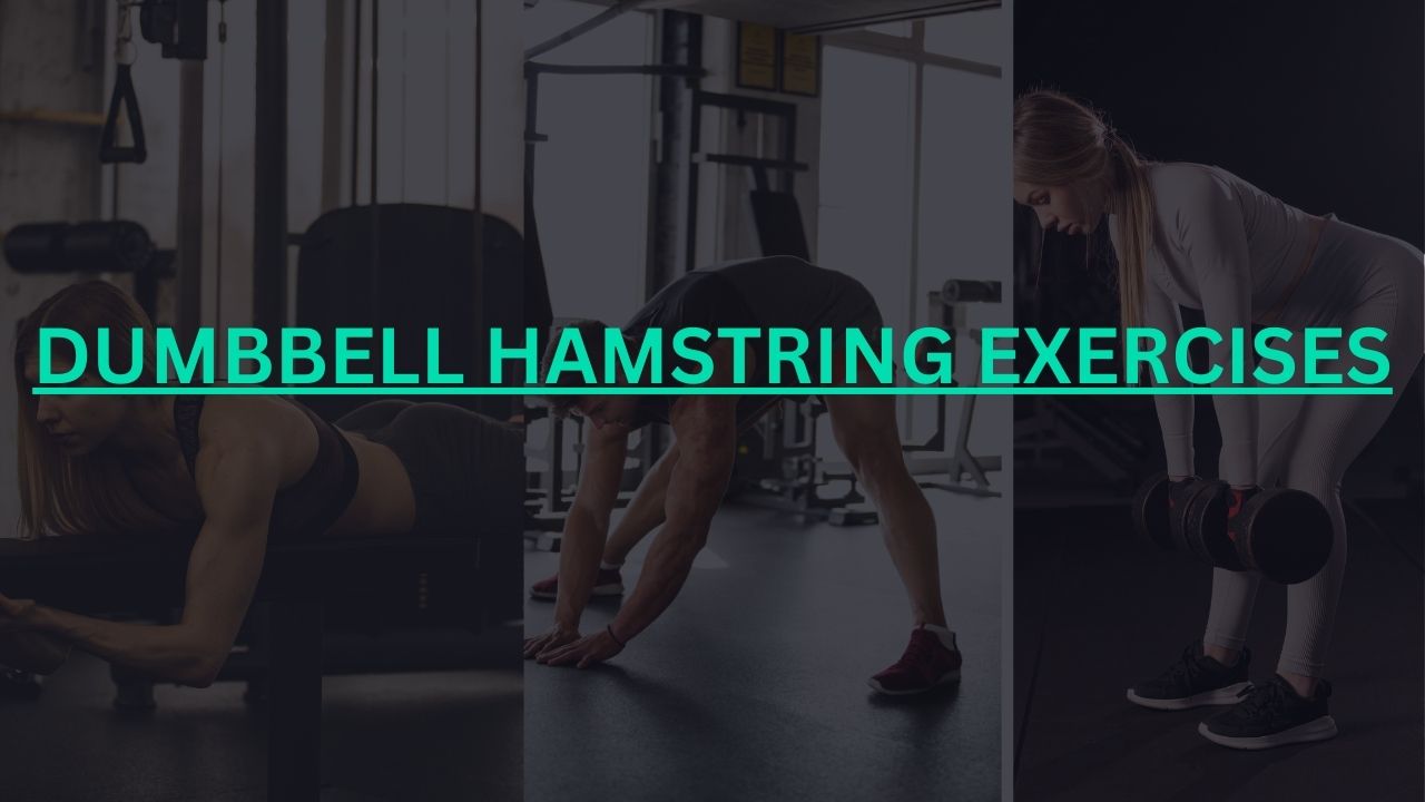 Best Dumbbell Hamstring Exercises