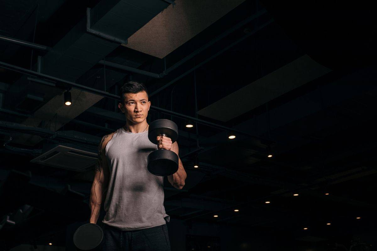 13 Most Popular Dumbbell Bicep Exercises for Building Muscle Biceps Dumbbell Workout for Beginners