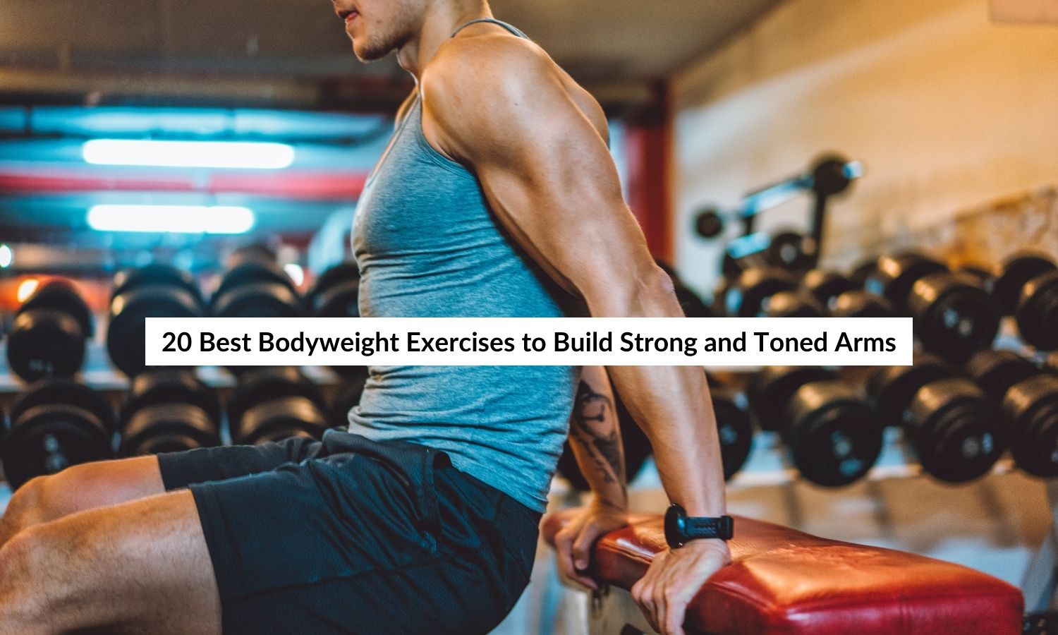 Bodyweight arm exercises