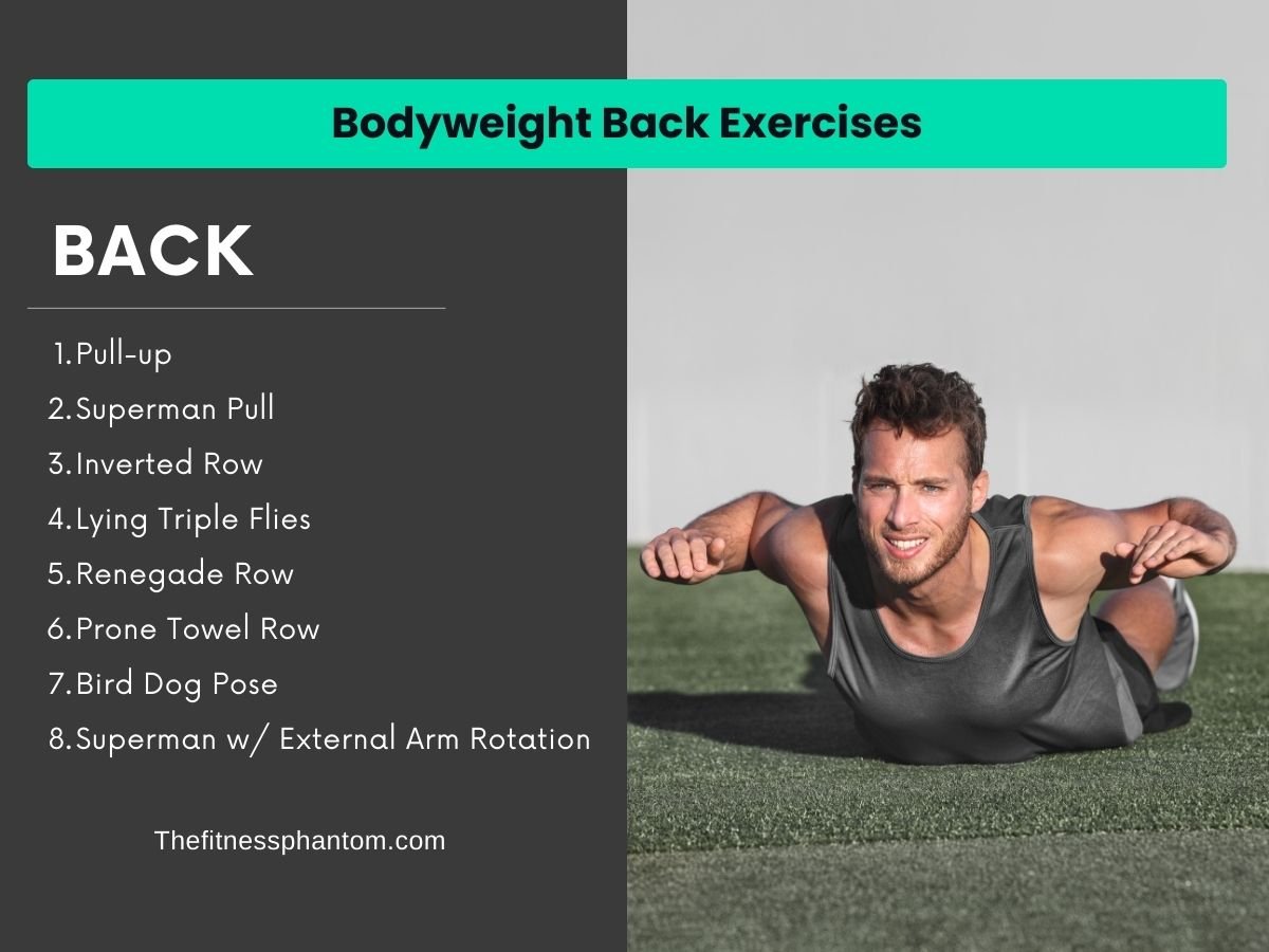 Bodyweight Back Exercises
