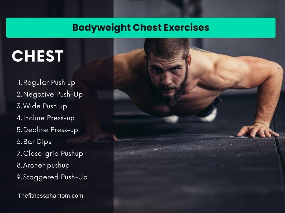 Bodyweight Chest Exercises