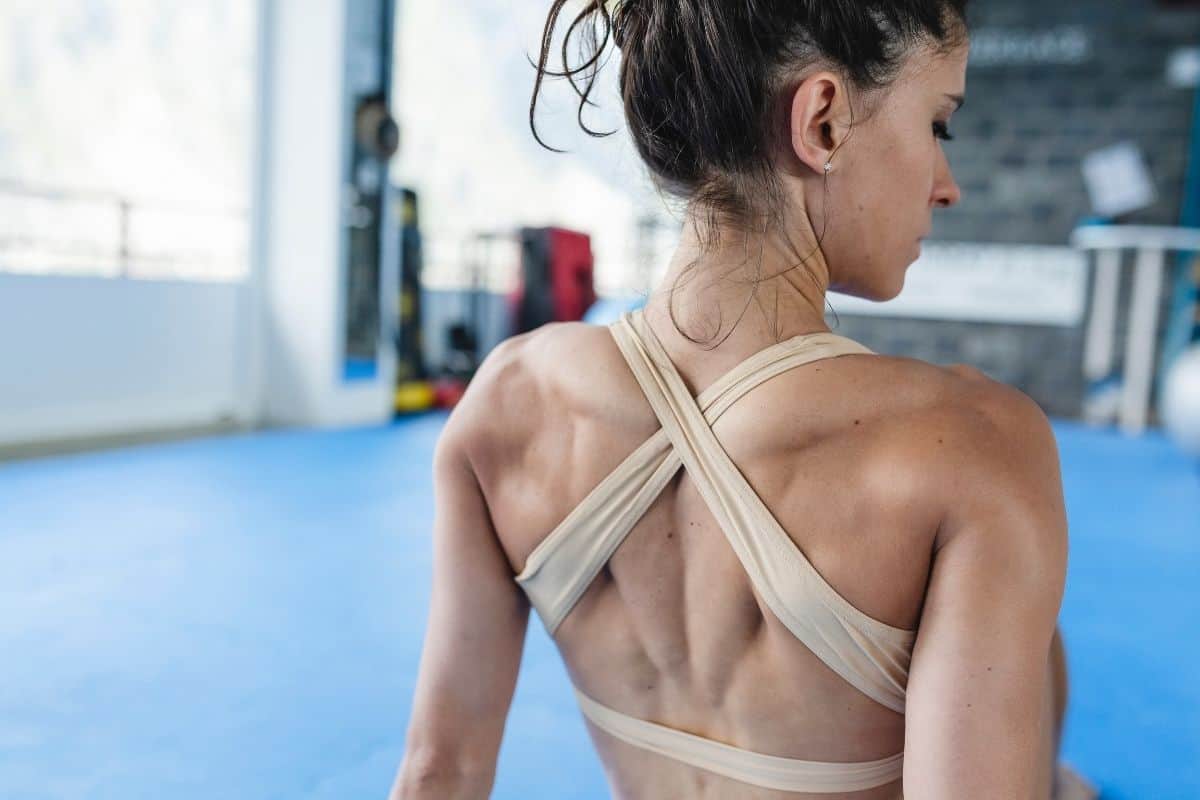 Bodyweight back exercises