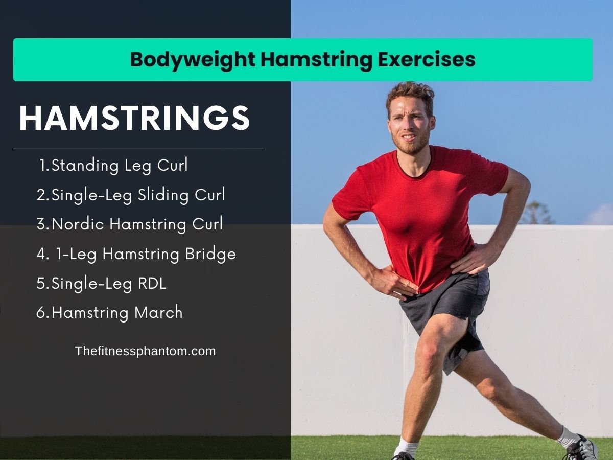 Bodyweight Hamstring Exercises