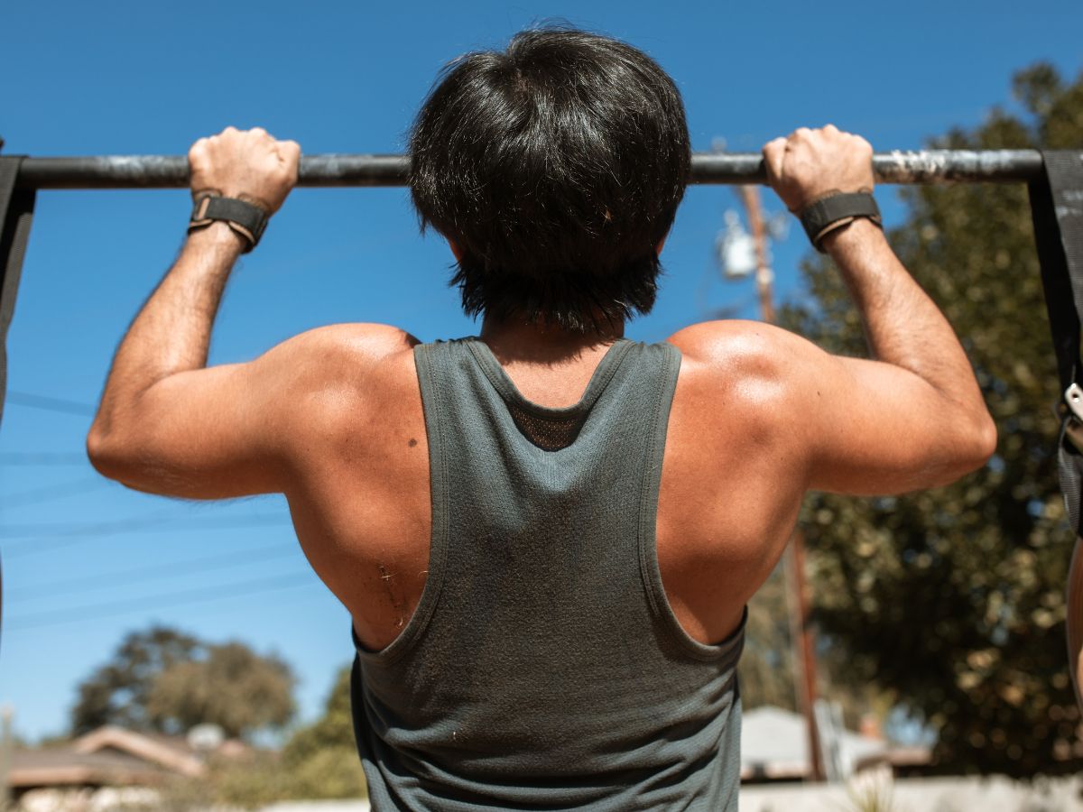 12 Best Calisthenics Pull Exercises to Build Resilience Bodyweight Inverted Row
