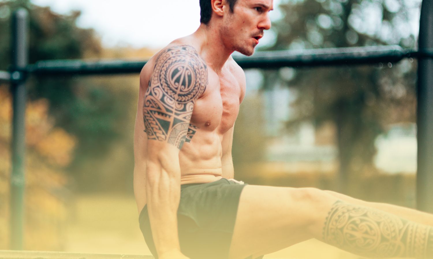 Bodyweight PPL Workout