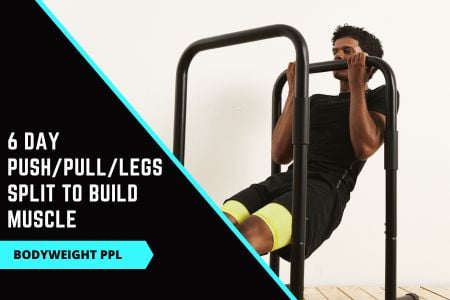 Bodyweight PPL Split