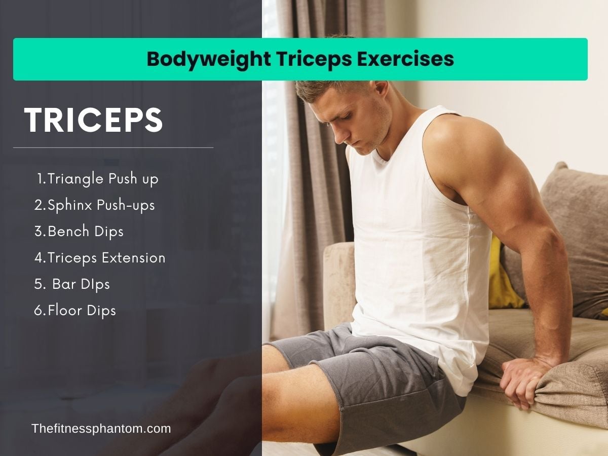 Bodyweight Triceps Exercises