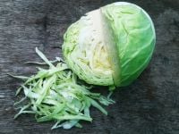Cabbage