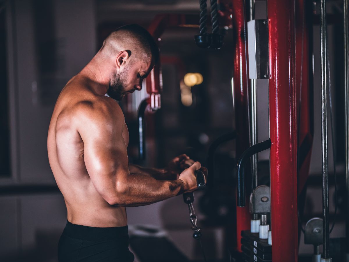 Cable Biceps Workout: 10 Best Exercises & Training Plan Cable Biceps Curls Exercises