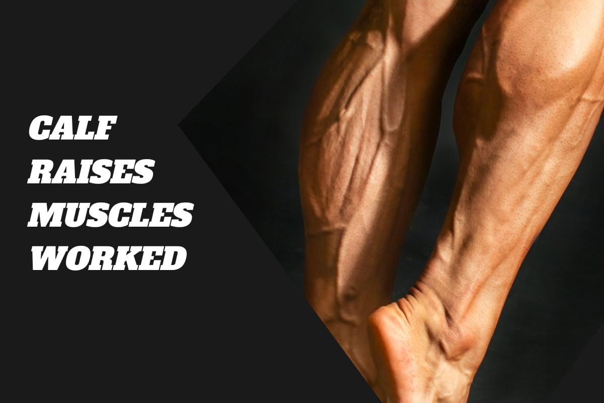 11 Best Calf Raise Variations for Strength and Mass Calf Raises Muscles Worked