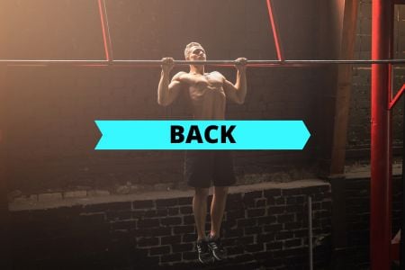 Calisthenics Back Workout