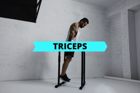 Calisthenics Triceps Exercise