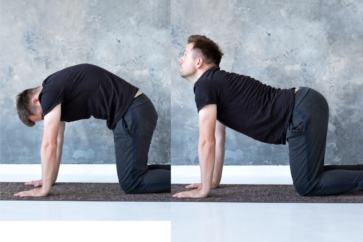 Cat-Cow Stretch for Upper Body