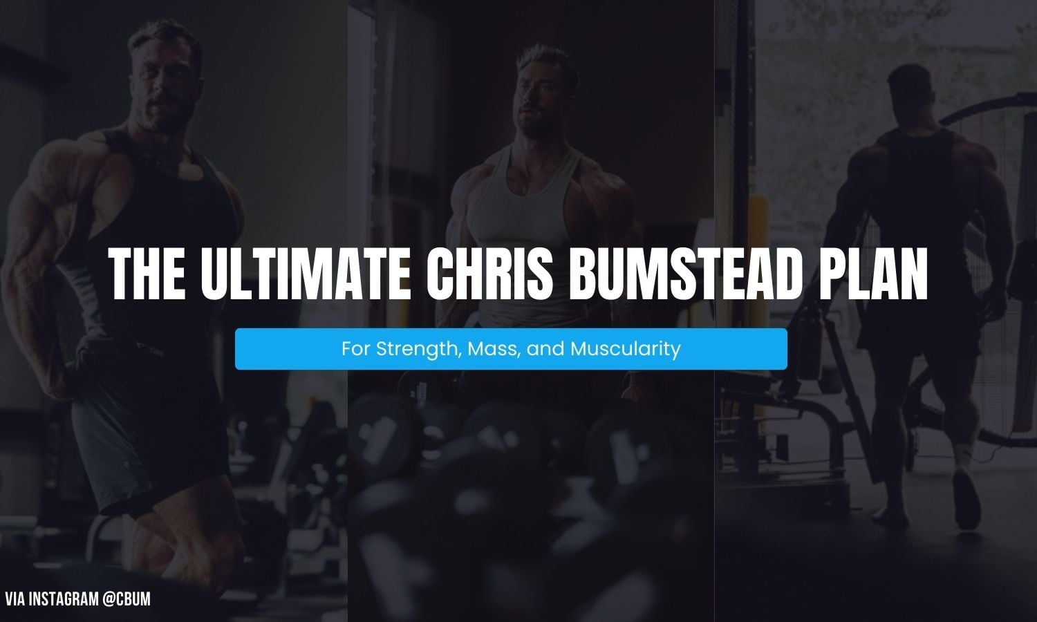 Chris Bumstead Workout Routine