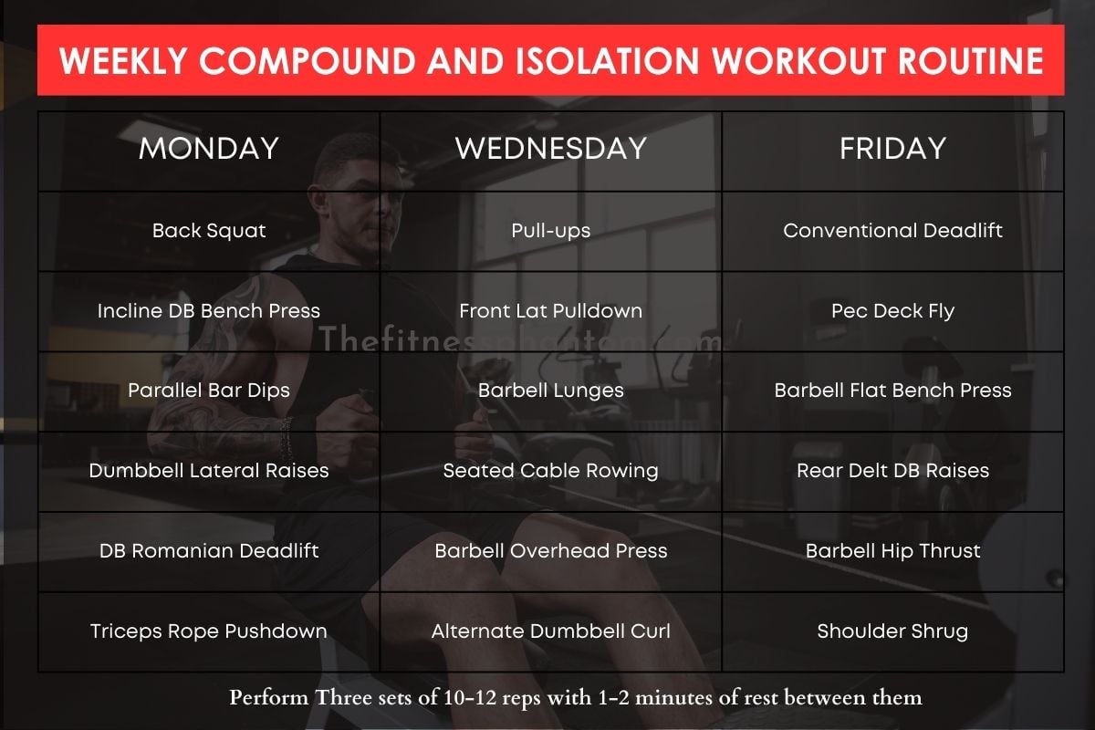 Compound and Isolation Workout Routine