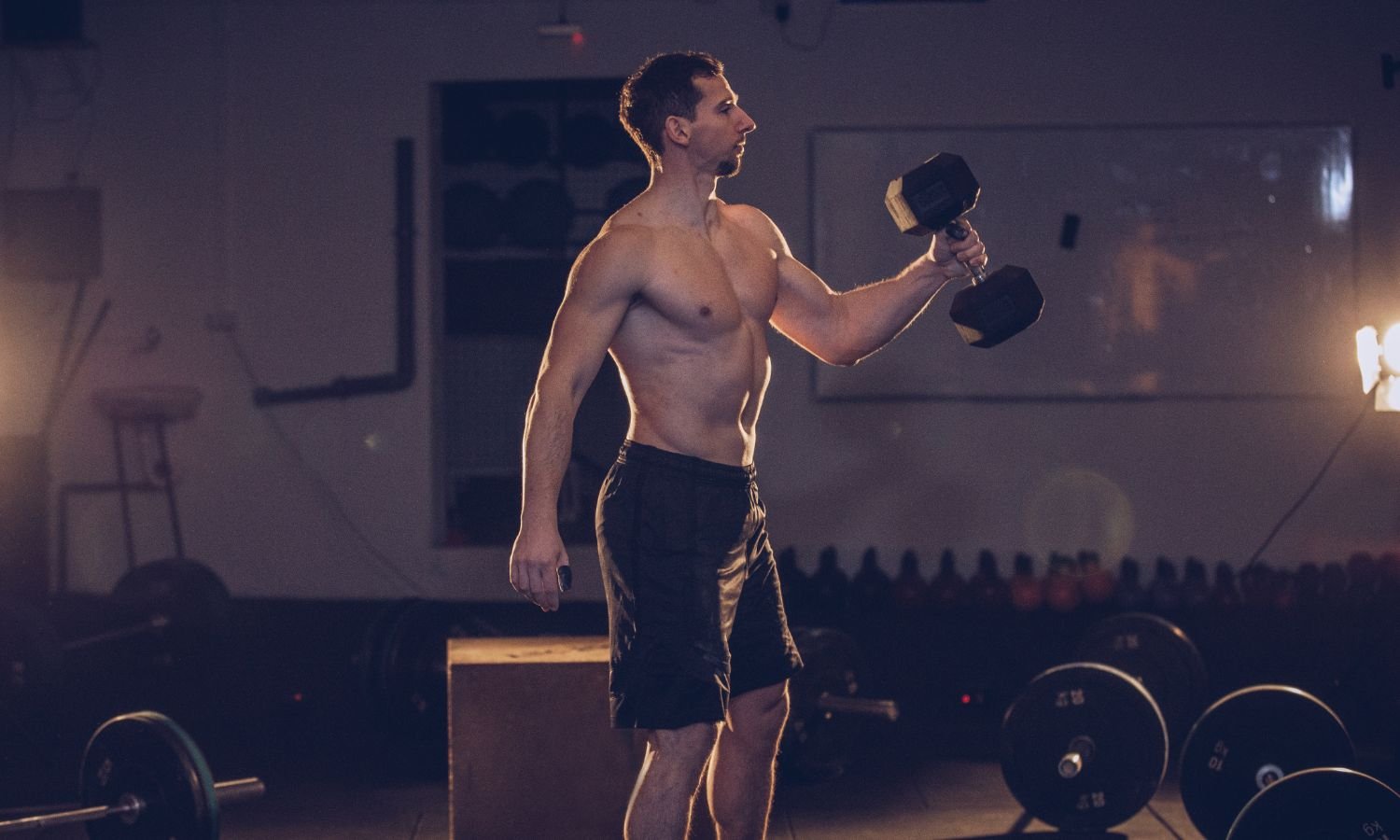 Compound and Isolation Workout