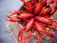 Crayfish