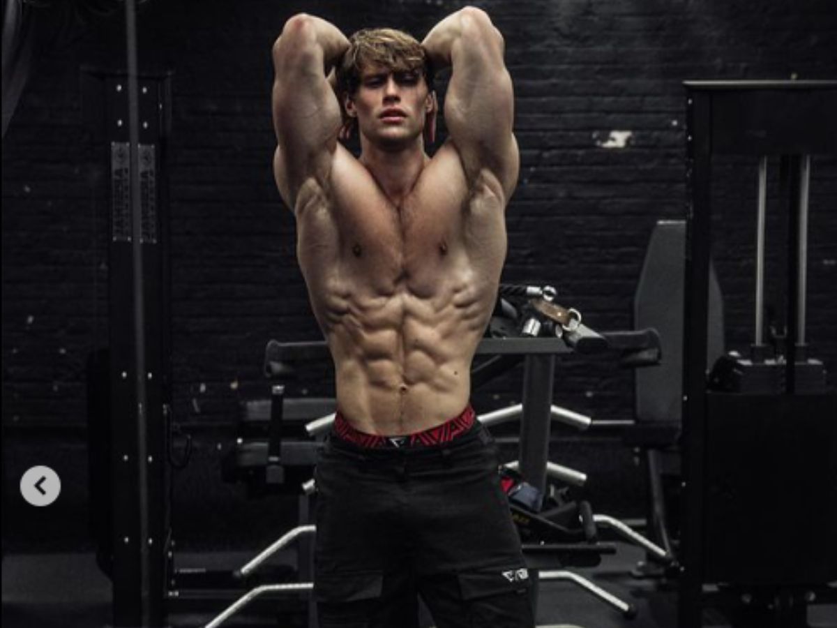 David Laid Exercise Routine