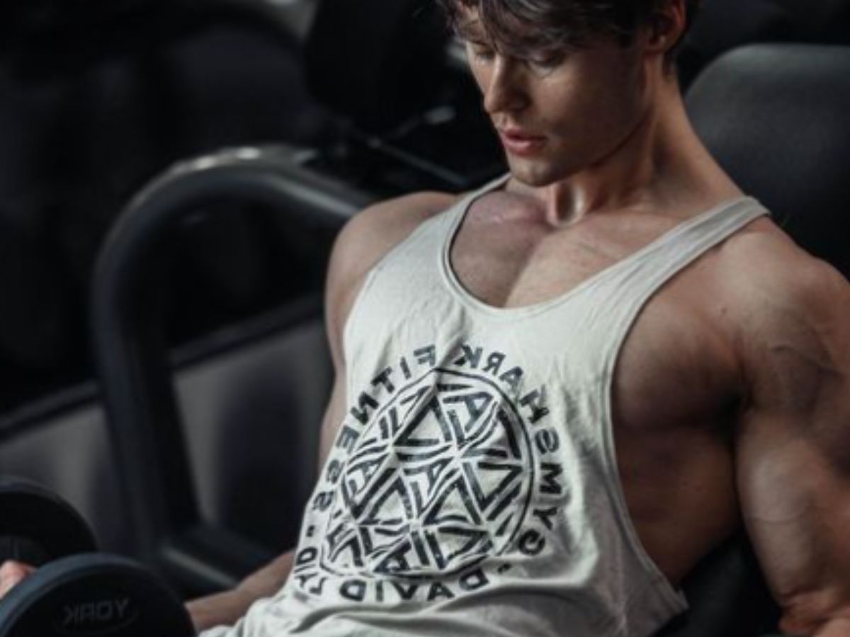 David Laid Workout Plan