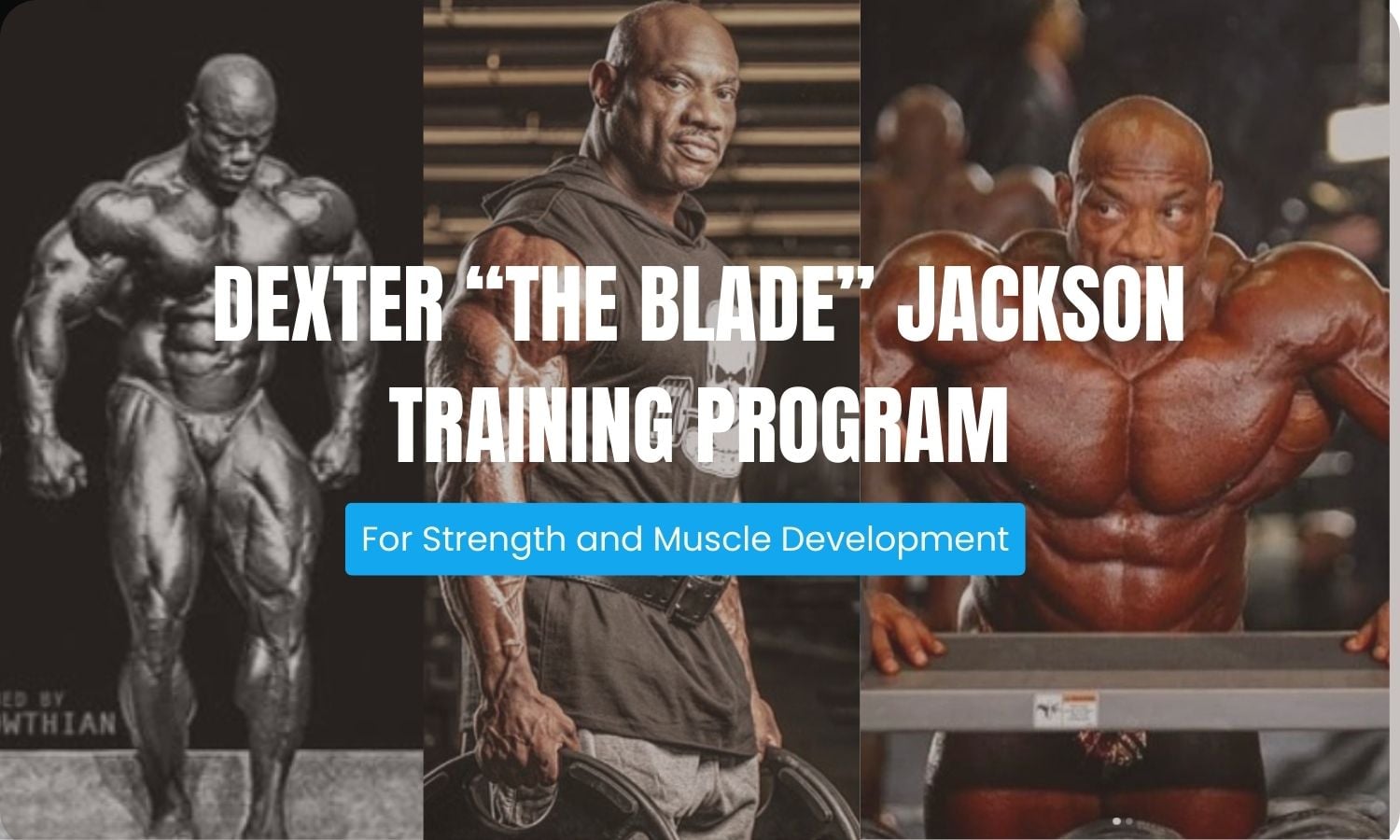 Dexter Jackson Training Routine