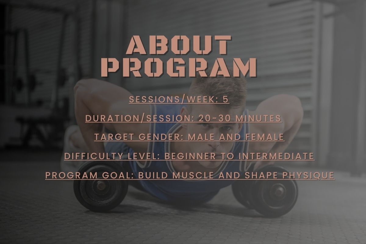 Dumbbell and Band Workout Program Summary