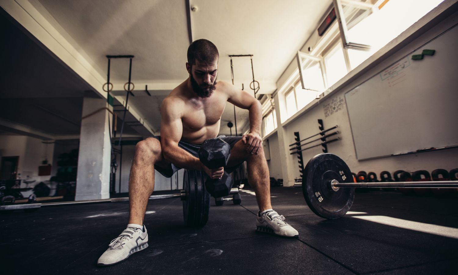 Dumbbell and Barbell Workout