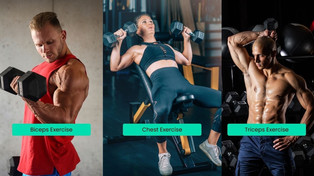 Dumbbell arms and chest workout