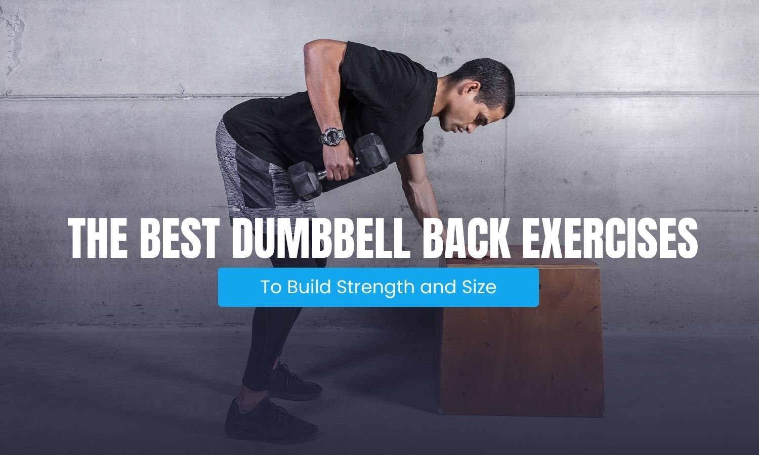 Dumbbell Back Workout and Exercises