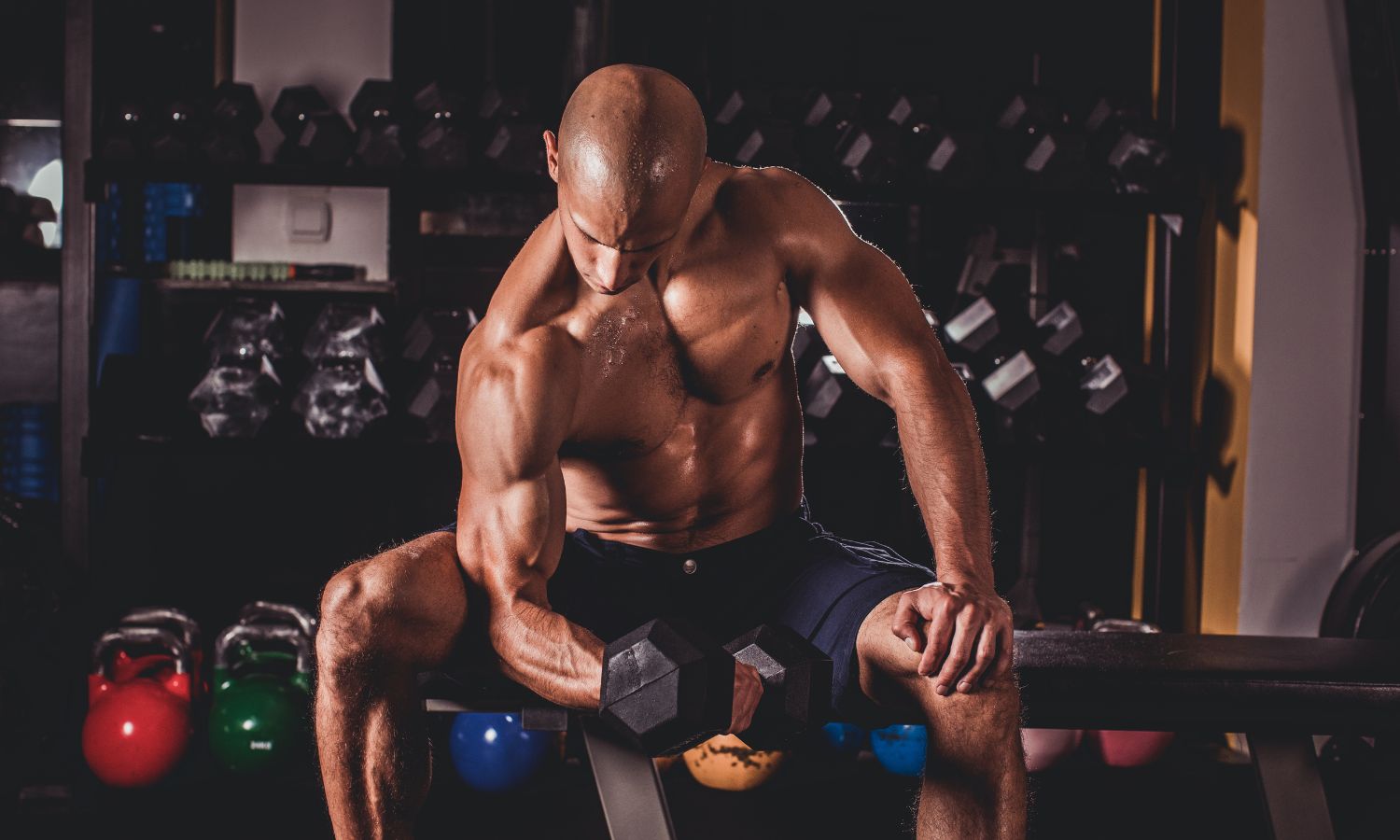 Dumbbell Compound Workout