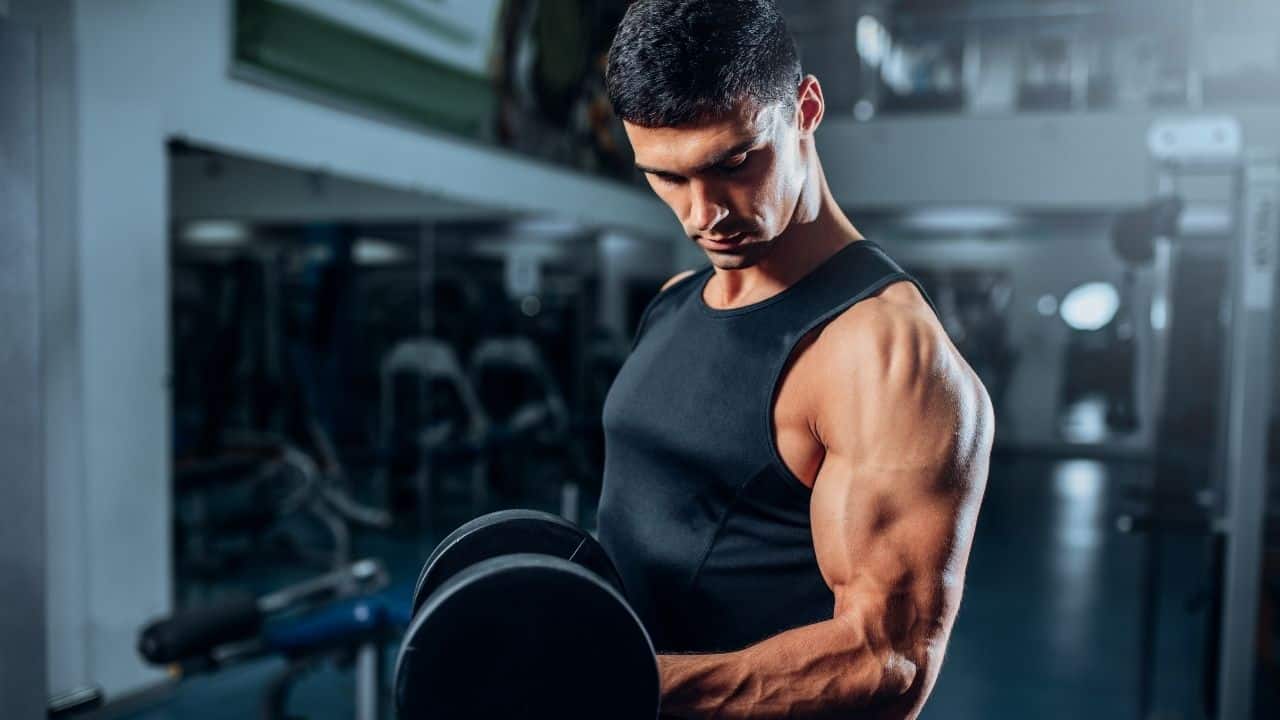 Dumbbell Exercises For Arms And Shoulders