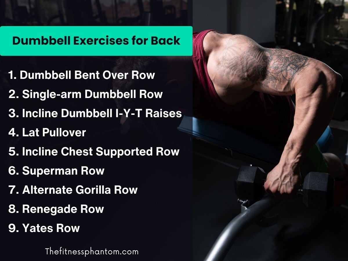 The Most Effective Back and Shoulder Workout with Dumbbells Dumbbell Exercises for Back