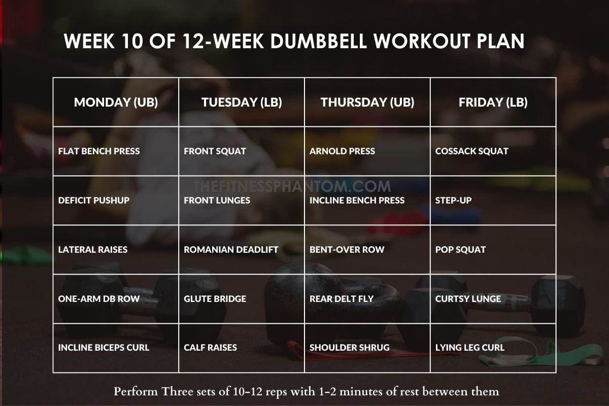 dumbbell only 12 week plan