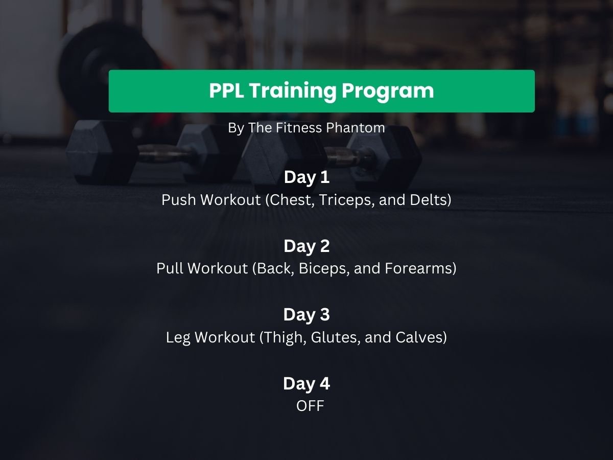 Dumbbell Push Pull Legs split