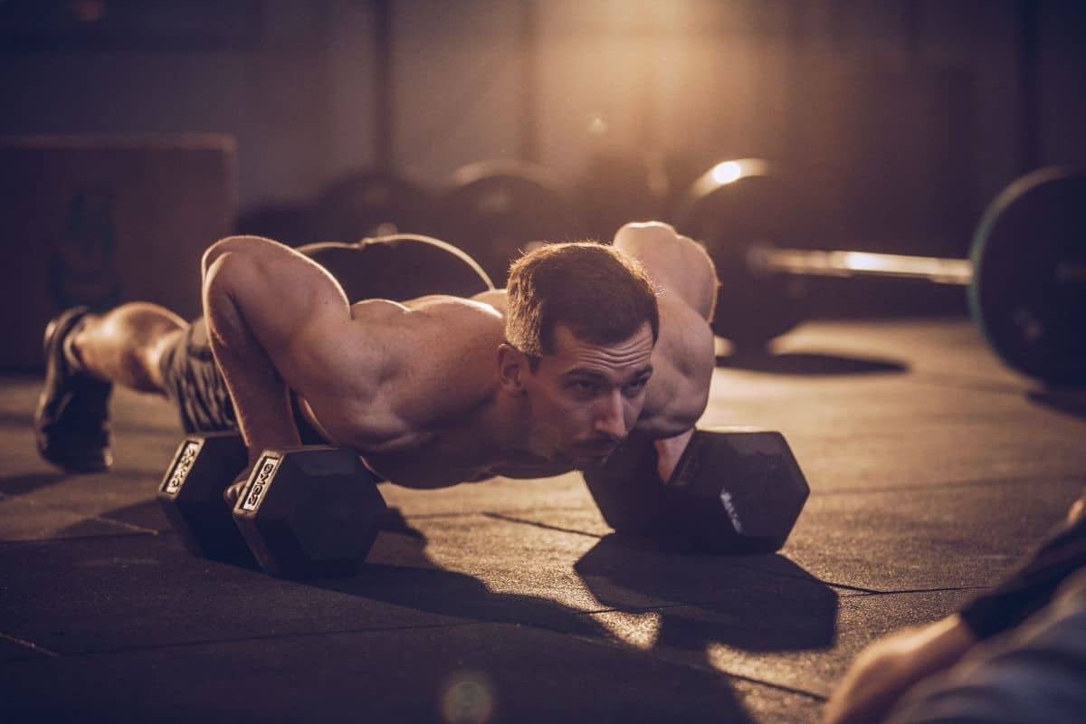 Dumbbell Push-Ups