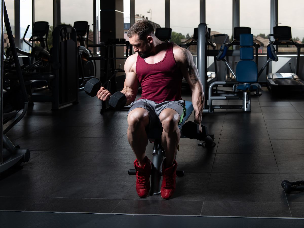13 Most Popular Dumbbell Bicep Exercises for Building Muscle Seated Biceps Curl Dumbbell Workout
