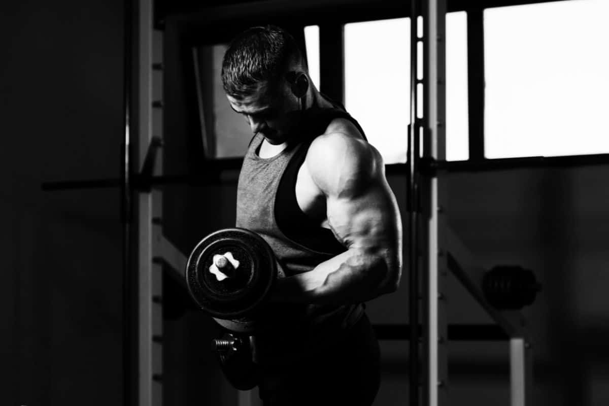 No Bench Dumbbell Workout Plan with PDF dumbbell only workout no bench