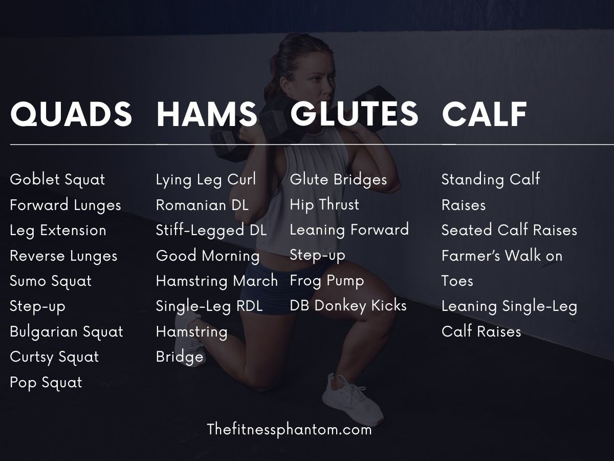 dumbbell workout list for leg muscles