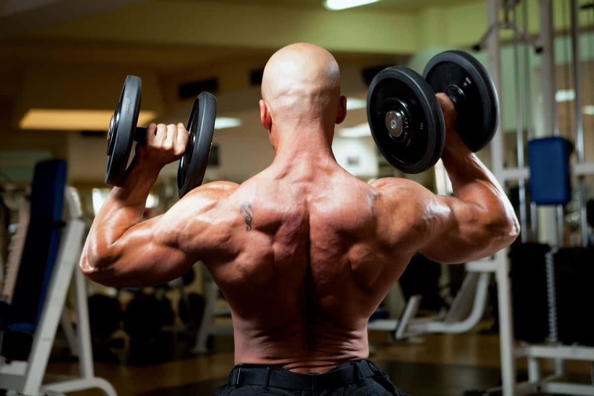 No Bench Dumbbell Workout Plan with PDF Dumbbell Workout No Bench