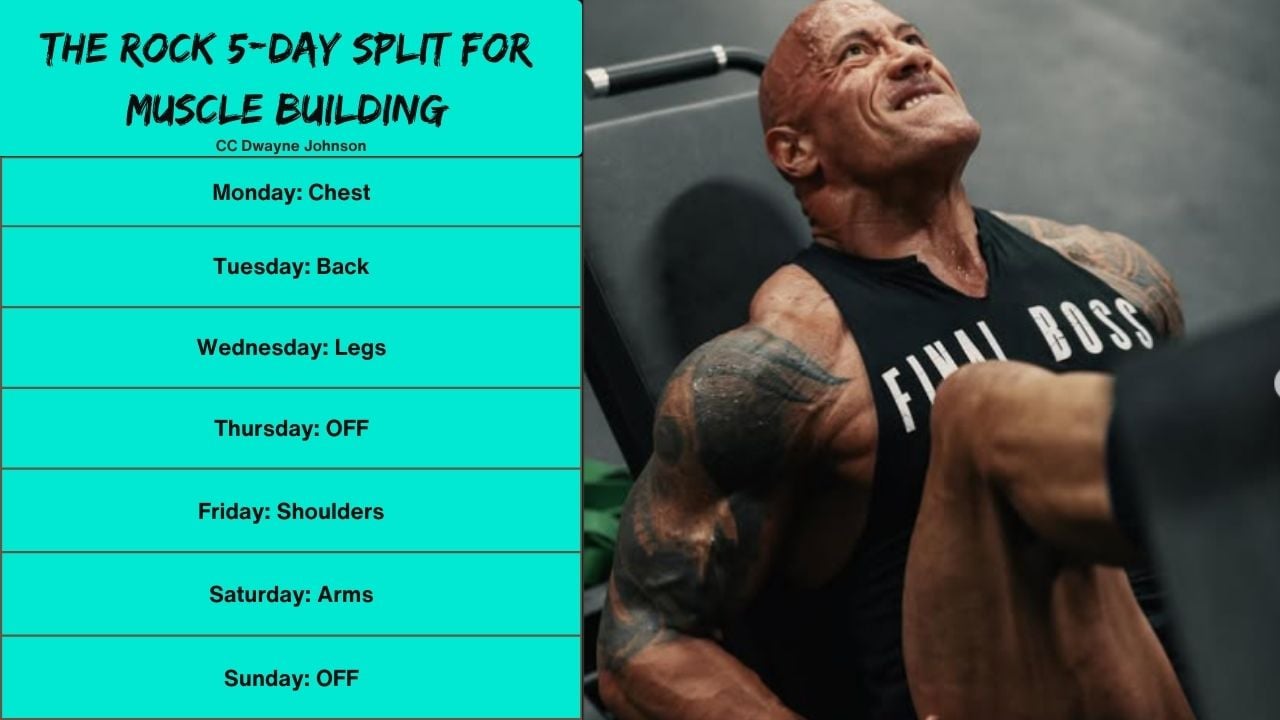 Dwayne Johnson Workout Routine