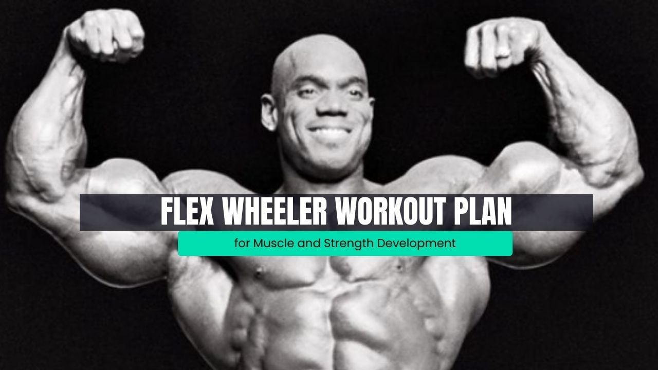 Flex Wheeler Workout Bodybuilding