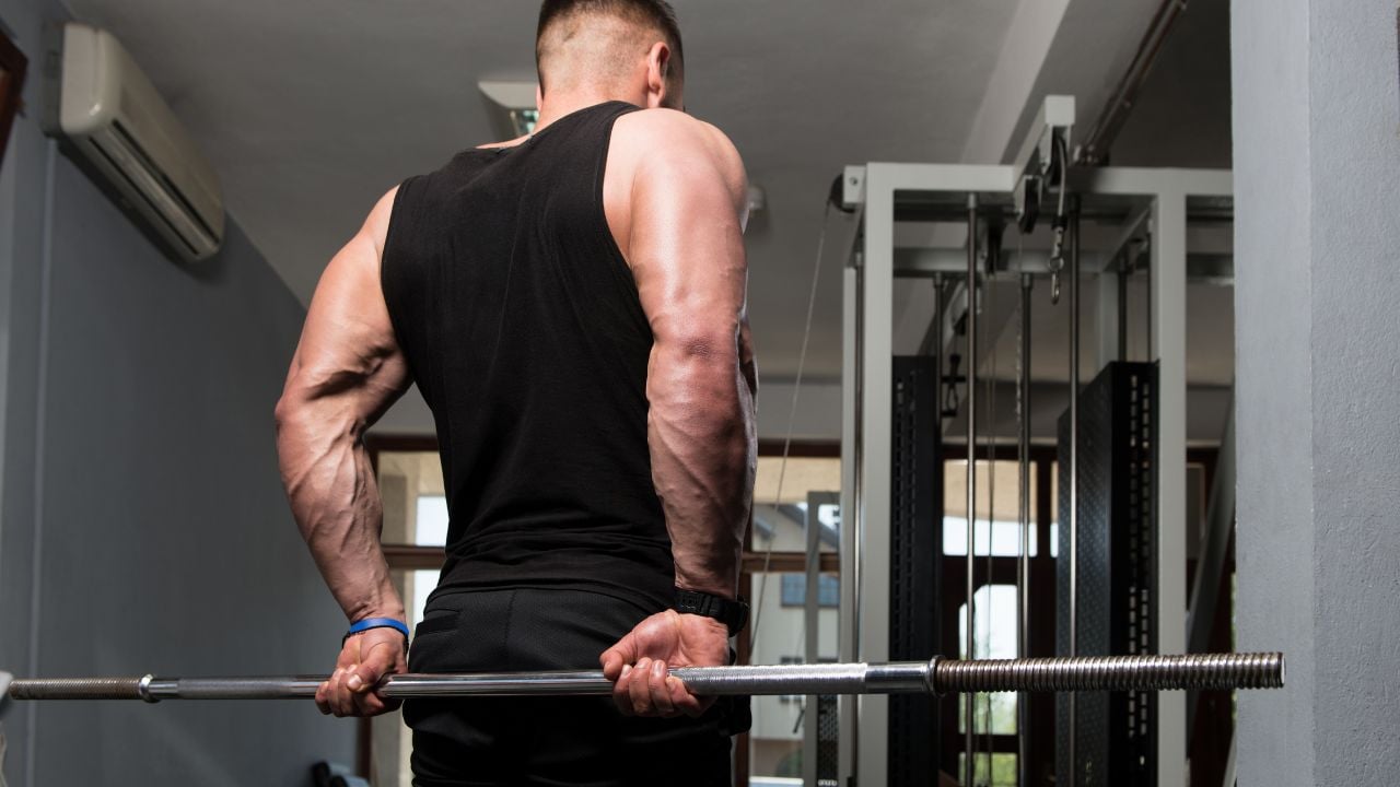 Forearm Barbell Exercises