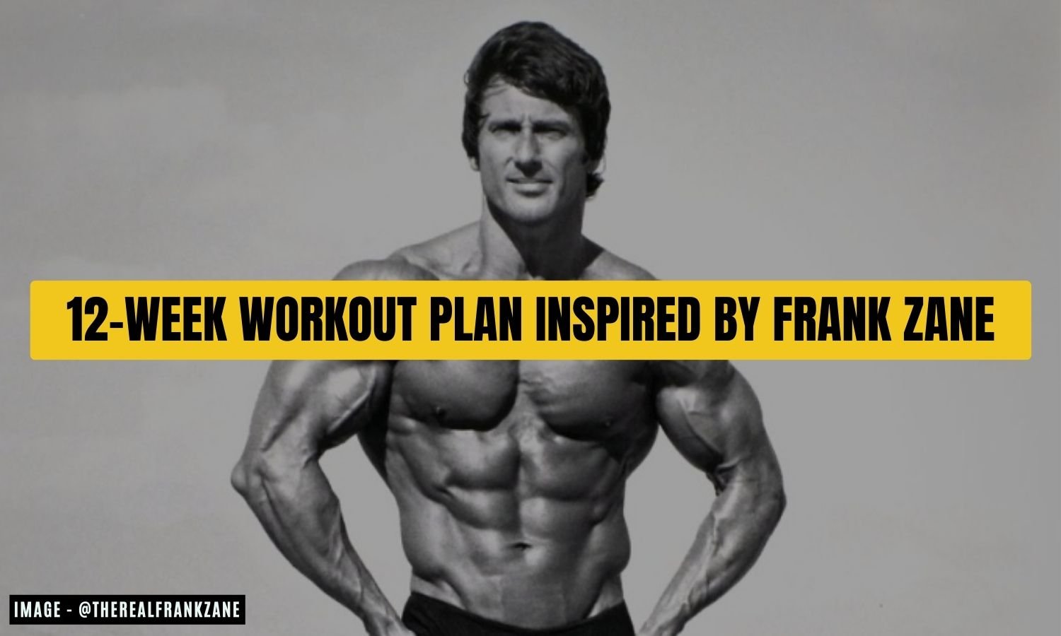 Frank Zane Workout Routine