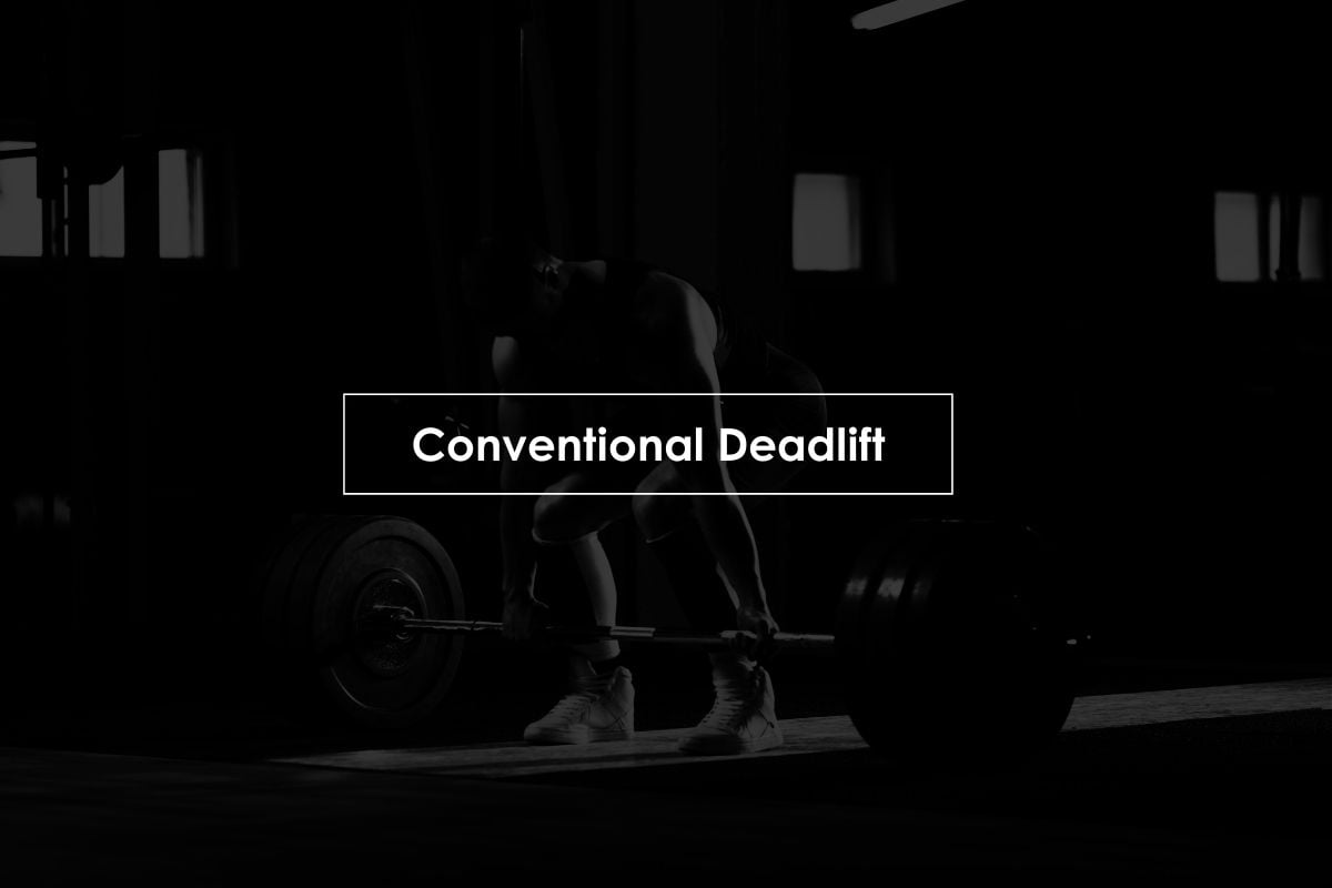 80 Best Free Weight Exercises to Build Muscles w/PDF Free Weight Back Exercises