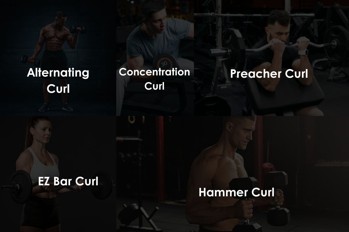 80 Best Free Weight Exercises to Build Muscles w/PDF Free Weight Biceps Exercises