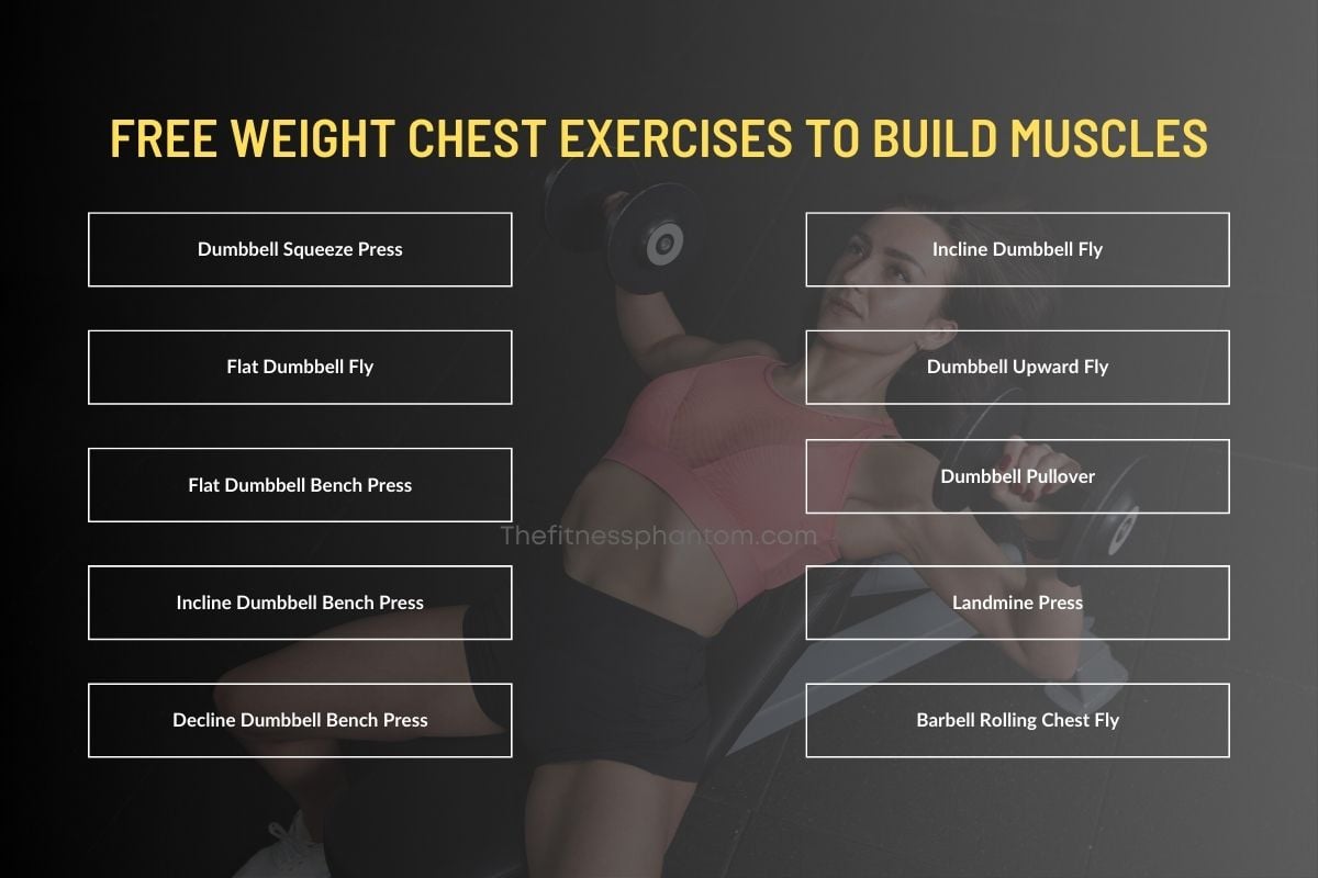 80 Best Free Weight Exercises to Build Muscles w/PDF Free Weight Chest Exercises