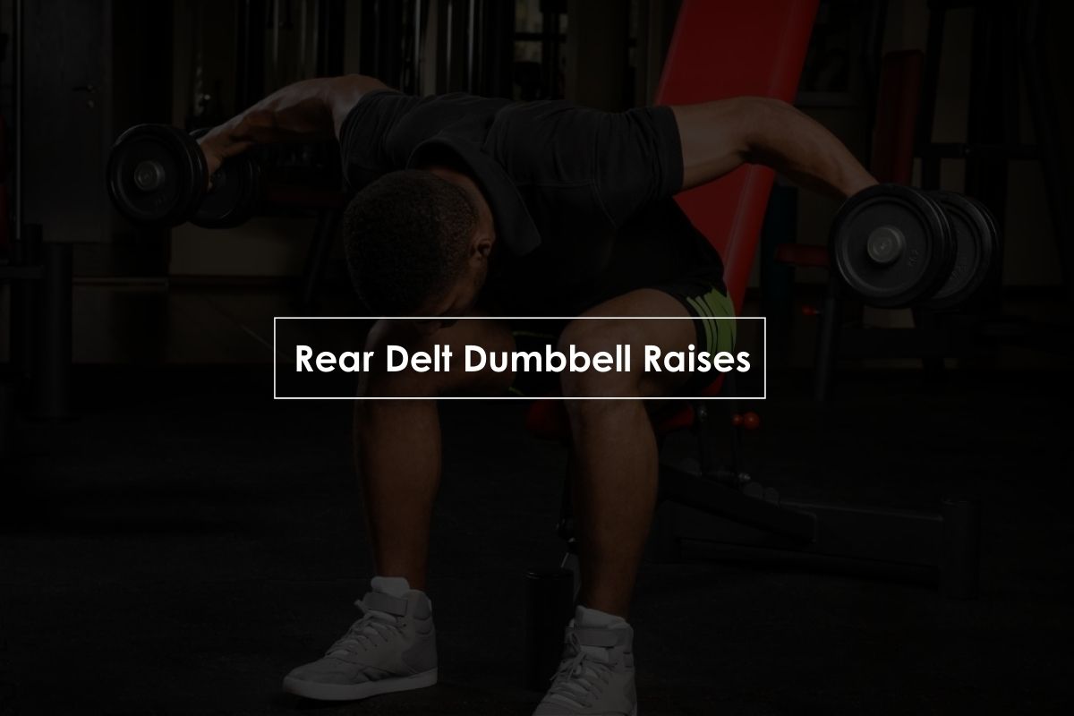 80 Best Free Weight Exercises to Build Muscles w/PDF Free Weight Shoulder Exercises