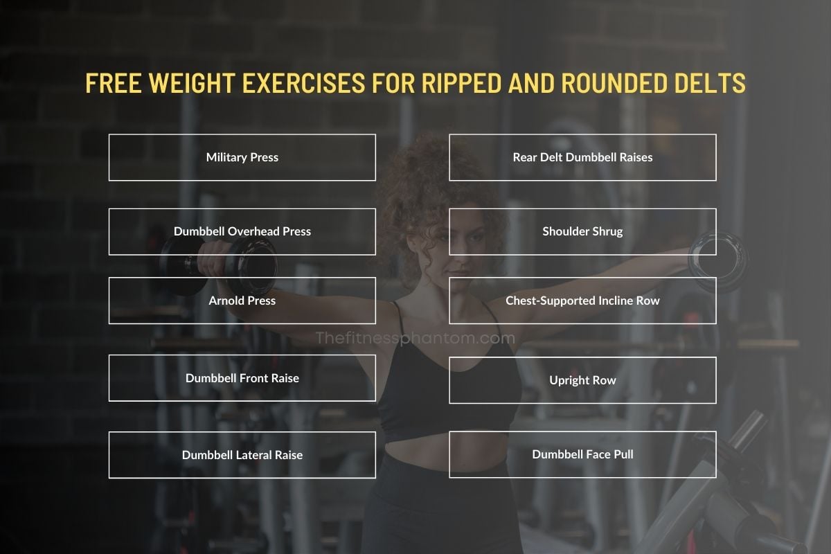 80 Best Free Weight Exercises to Build Muscles w/PDF Free Weight Workouts for Shoulder